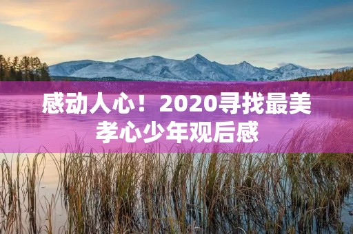 感动人心！2020寻找最美孝心少年观后感