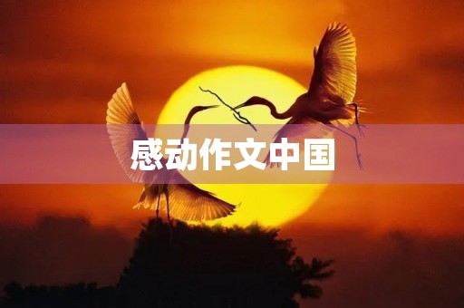 感动作文中国 感动作文中国