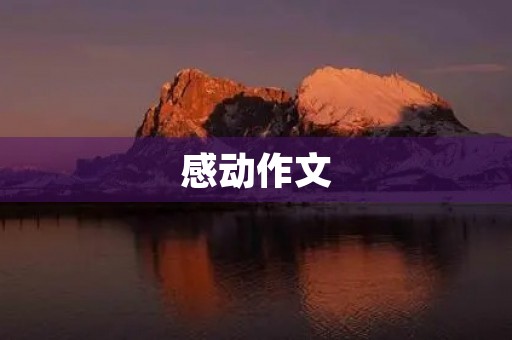 感动作文 感动作文