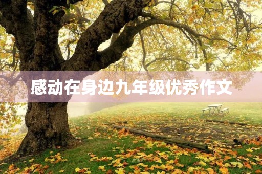 感动在身边九年级优秀作文 感动在身边九年级优秀作文
