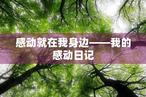 感动就在我身边——我的感动日记 感动就在我身边——我的感动日记