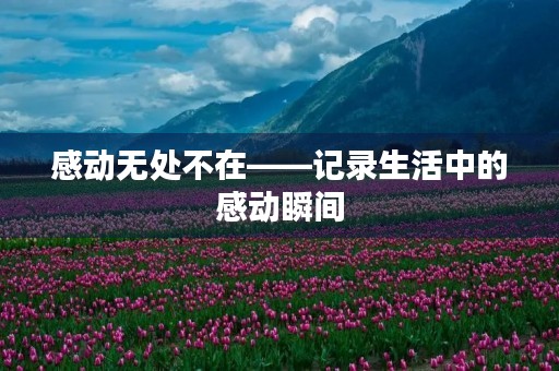 感动无处不在——记录生活中的感动瞬间