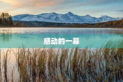 感动的一幕
