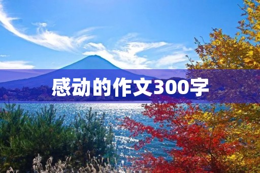 感动的作文300字