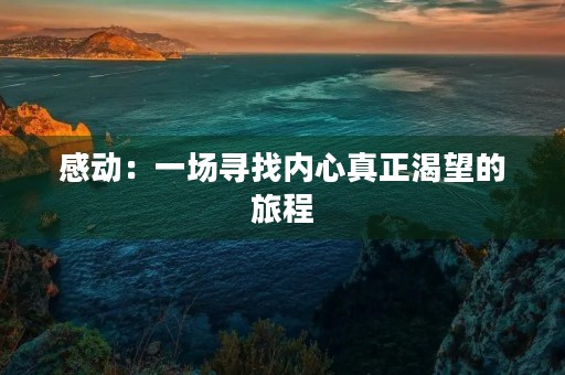 感动：一场寻找内心真正渴望的旅程