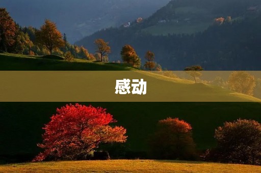 感动 感动
