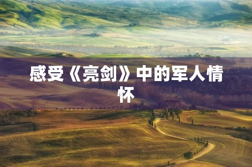 感受《亮剑》中的军人情怀 感受《亮剑》中的军人情怀