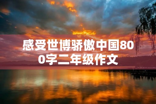 感受世博骄傲中国800字二年级作文 感受世博骄傲中国800字二年级作文