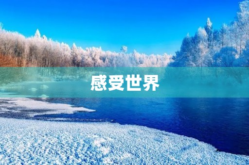 感受世界,感受生活 感受世界,感受生活