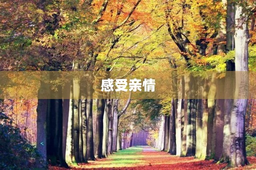 感受亲情,我与家人的温暖时光 感受亲情,我与家人的温暖时光