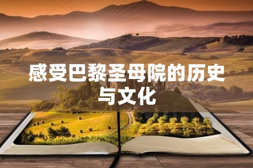 感受巴黎圣母院的历史与文化
