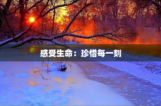 感受生命:珍惜每一刻,感悟人生意义 感受生命:珍惜每一刻,感悟人生意义