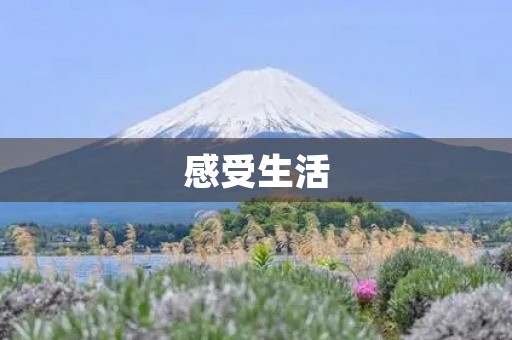 感受生活,从细节出发 感受生活,从细节出发