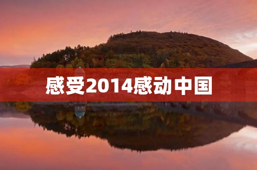 感受2014感动中国