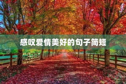 感叹爱情美好的句子简短，感叹爱情美好的句子简短唯美