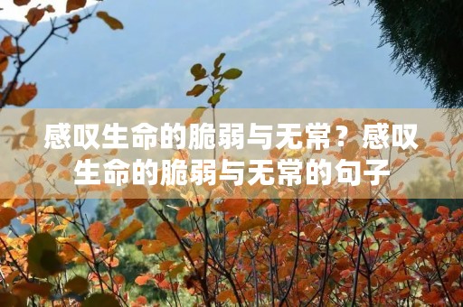 感叹生命的脆弱与无常?感叹生命的脆弱与无常的句子 感叹生命的脆弱与无常?感叹生命的脆弱与无常的句子
