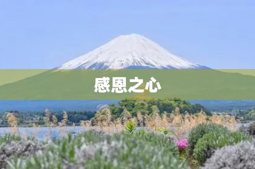 感恩之心，传承美德