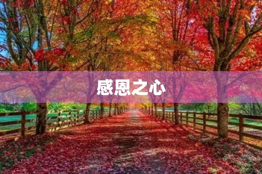 感恩之心，感恩有你