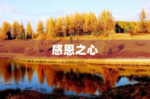 感恩之心,让我们更幸福 感恩之心,让我们更幸福