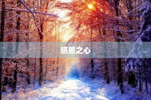 感恩之心