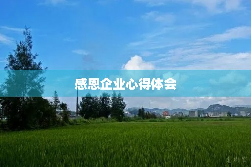 感恩企业心得体会