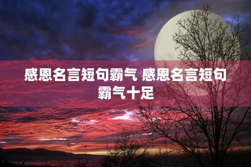 感恩名言短句霸气 感恩名言短句霸气十足 感恩名言短句霸气 感恩名言短句霸气十足