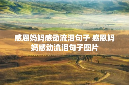 感恩妈妈感动流泪句子 感恩妈妈感动流泪句子图片