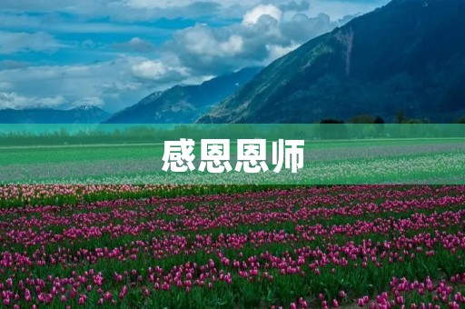 感恩恩师，赞扬老师
