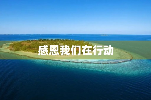 感恩我们在行动 感恩我们在行动