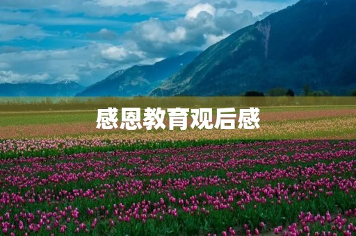 感恩教育观后感