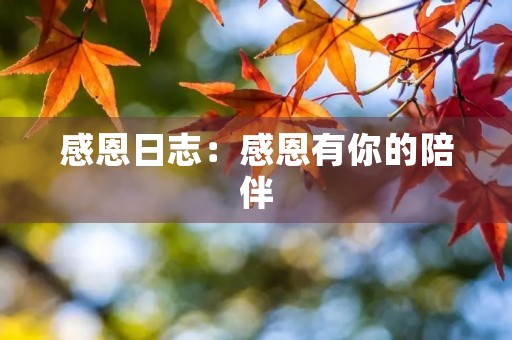 感恩日志：感恩有你的陪伴