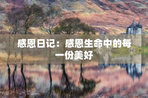 感恩日记：感恩生命中的每一份美好