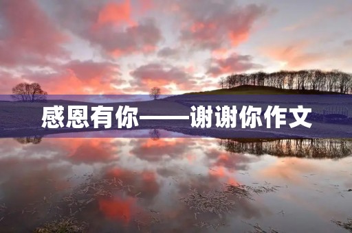 感恩有你——谢谢你作文