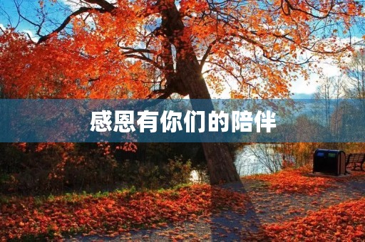 感恩有你们的陪伴