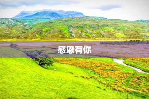 感恩有你,别人帮助我的故事 感恩有你,别人帮助我的故事