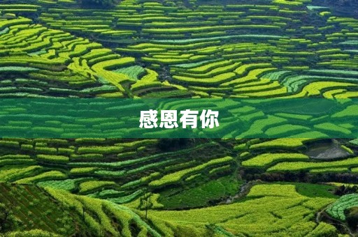 感恩有你,谢谢你的爱 感恩有你,谢谢你的爱