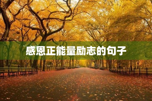 感恩正能量励志的句子(感恩正能量励志的句子图片) 感恩正能量励志的句子(感恩正能量励志的句子图片)