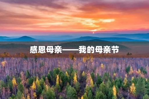 感恩母亲——我的母亲节