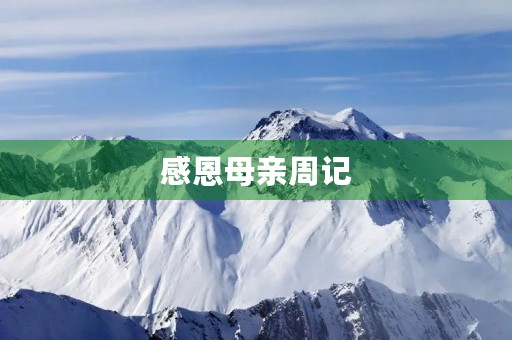 感恩母亲周记