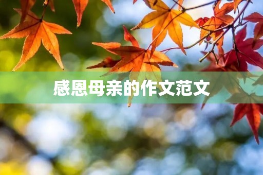 感恩母亲的作文范文