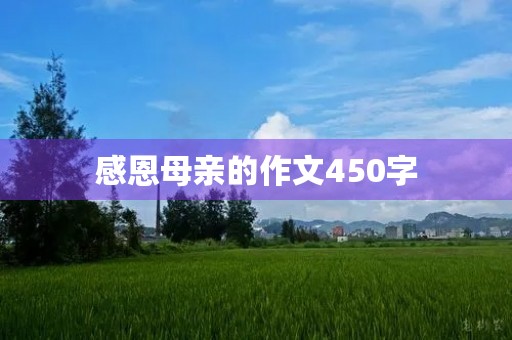 感恩母亲的作文450字 感恩母亲的作文450字