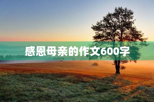 感恩母亲的作文600字