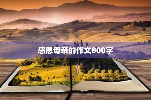 感恩母亲的作文800字 感恩母亲的作文800字