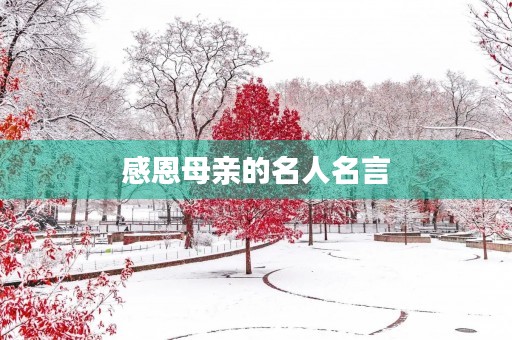 感恩母亲的名人名言(感恩母亲的名人名言谚语) 感恩母亲的名人名言(感恩母亲的名人名言谚语)