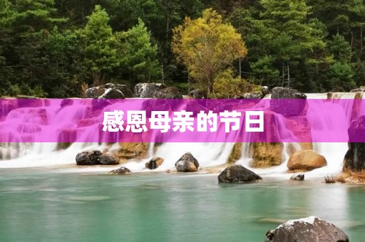 感恩母亲的节日 感恩母亲的节日
