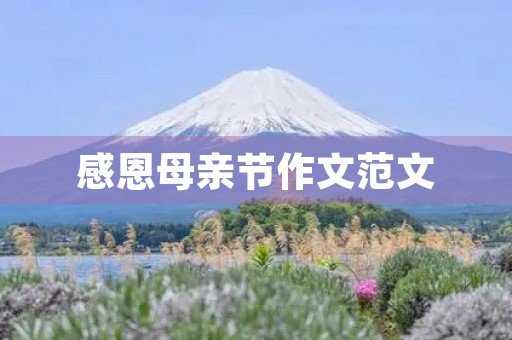 感恩母亲节作文范文