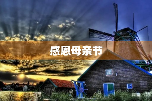 感恩母亲节
