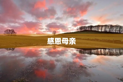 感恩母亲，感谢有你的陪伴
