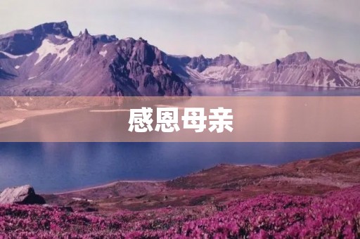 感恩母亲,永远的恩情 感恩母亲,永远的恩情