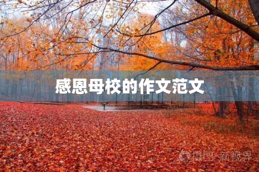感恩母校的作文范文 感恩母校的作文范文